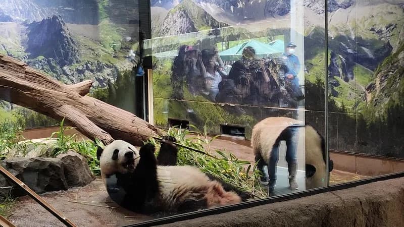 View of Ueno Zoo in Tokyo, TK