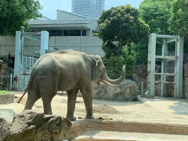 View of Ueno Zoo in Tokyo, TK