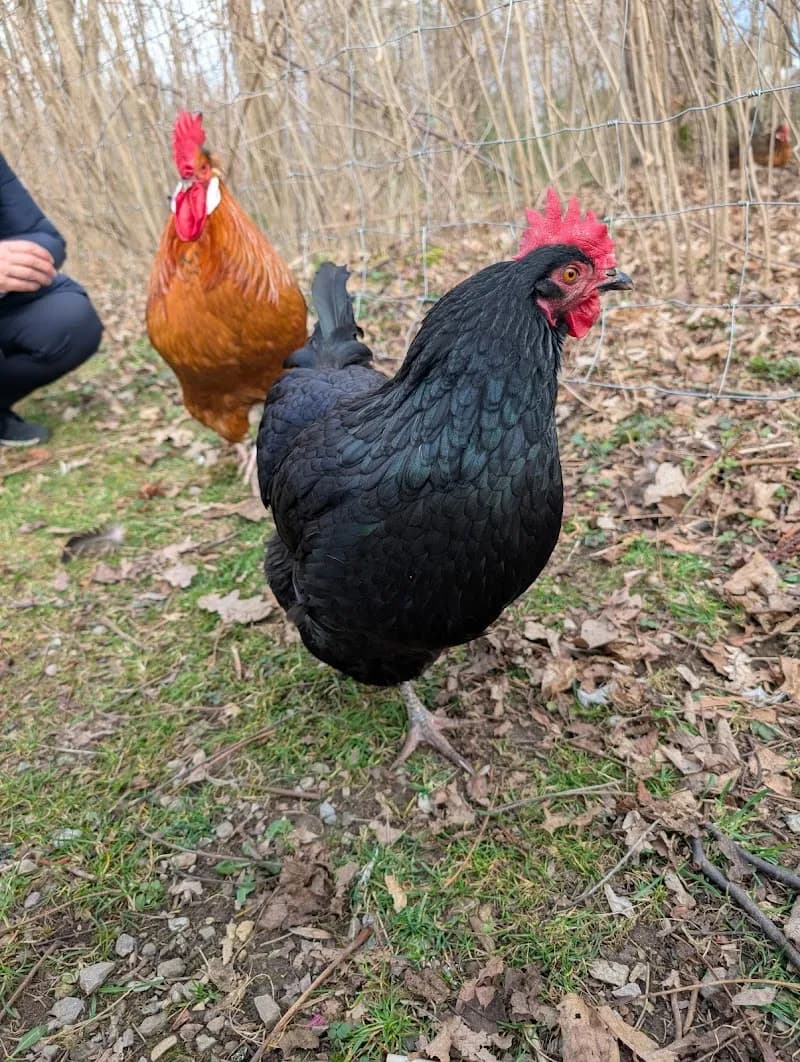 View of Umweltgarten in Neubiberg, BY