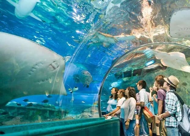 Underwater World Langkawi aquarium in Langkawi, KD