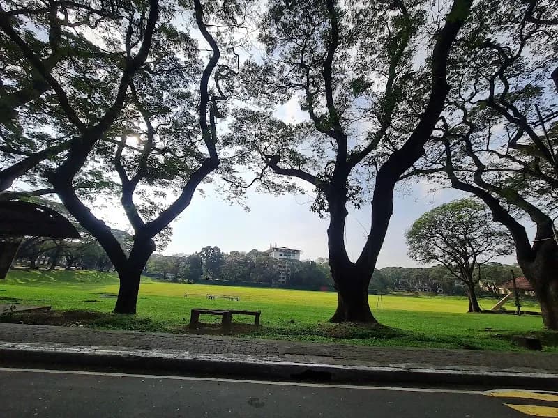 View of University of the Philippines - Diliman Campus in Quezon City, NCR