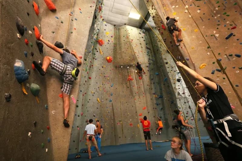 View of Upper Limits Rock Climbing Gym - Maryland Heights in Creve Coeur, MO