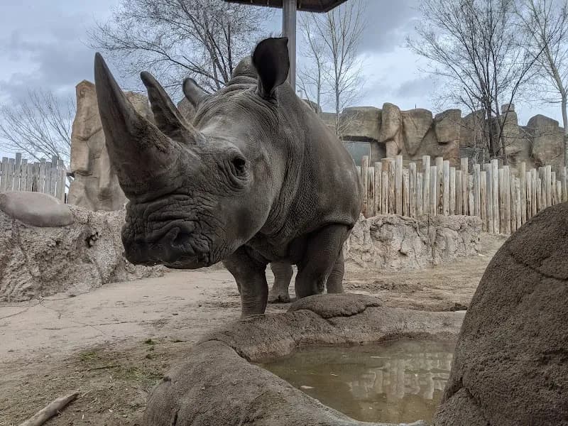 View of Utah's Hogle Zoo in Salt Lake City, UT