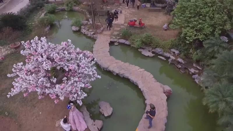 View of Vườn Hoa Nghệ Thuật Nhật Tân in Ba Đình, HN