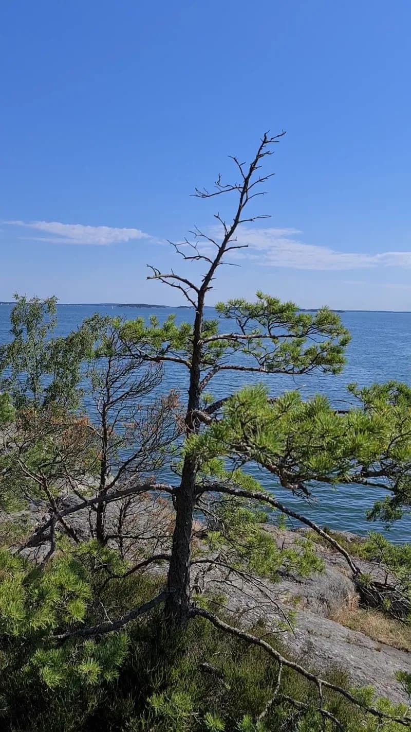 View of Värmdö Naturreservat in Värmdö, Stockholm