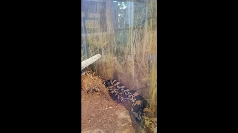 View of Valley Nature Center in Moro, TX