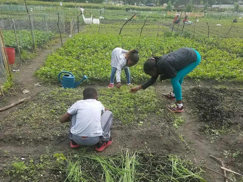 View of Valley Park in Hopkins, MN
