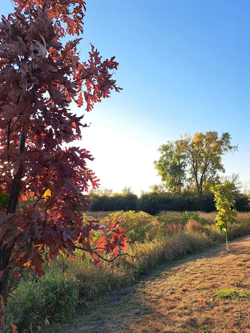 View of Valley Park in Hopkins, MN