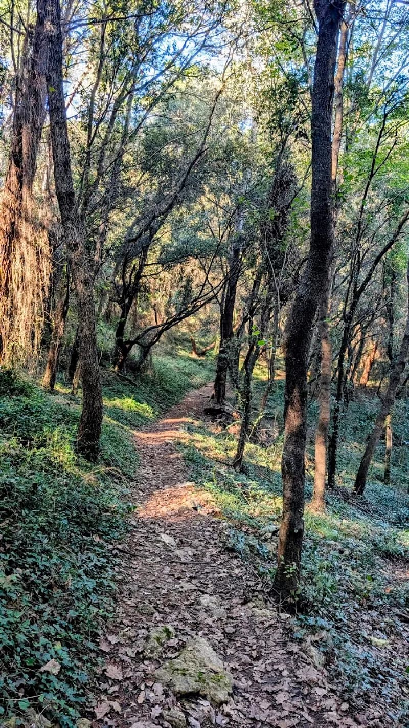 Valmasque Park park in Mougins, PACA