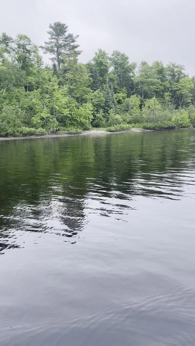 View of Van Riper State Park in Eastport, MI