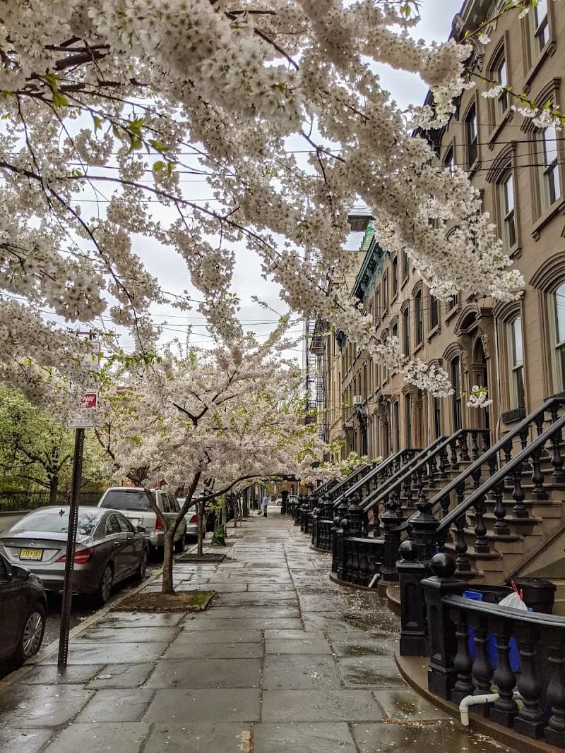 View of Van Vorst Park in Jersey City, NJ