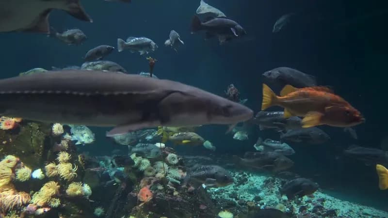 View of Vancouver Aquarium in Vancouver, BC