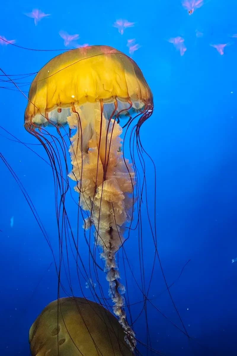 View of Vancouver Aquarium in Vancouver, BC