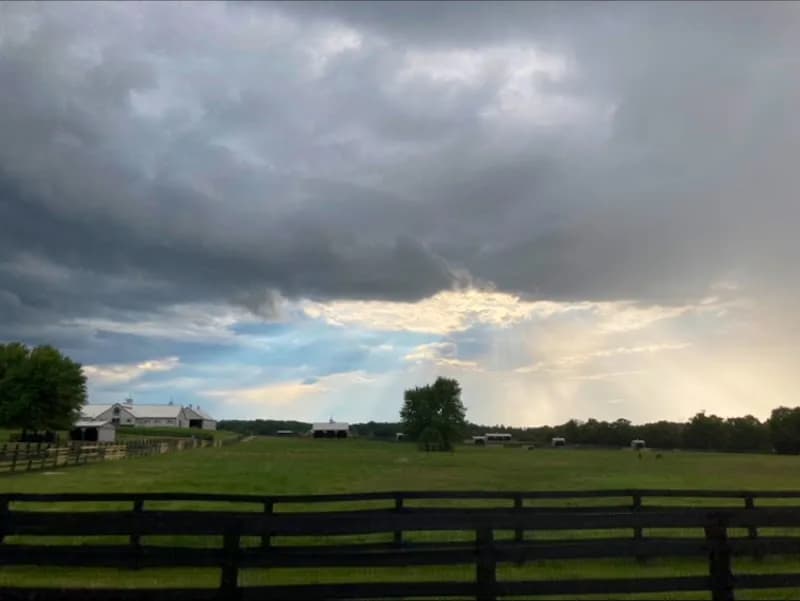 Vandorf Village Equestrian Centre farm in Newmarket, ON