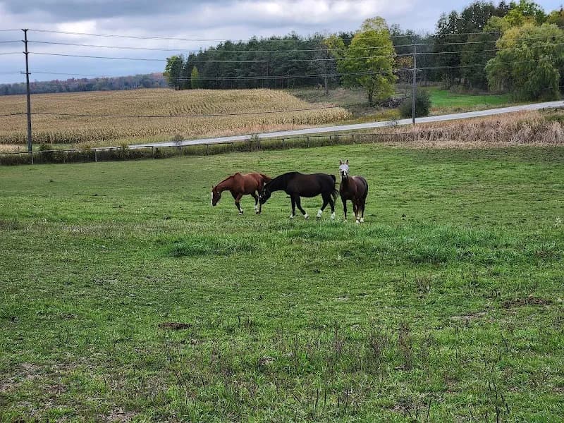 View of Vandorf Village Equestrian Centre in Newmarket, ON