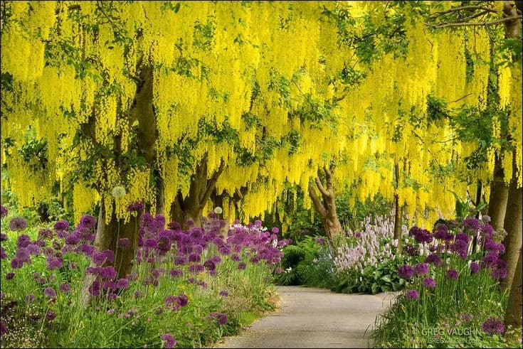 View of VanDusen Botanical Garden in Vancouver, BC