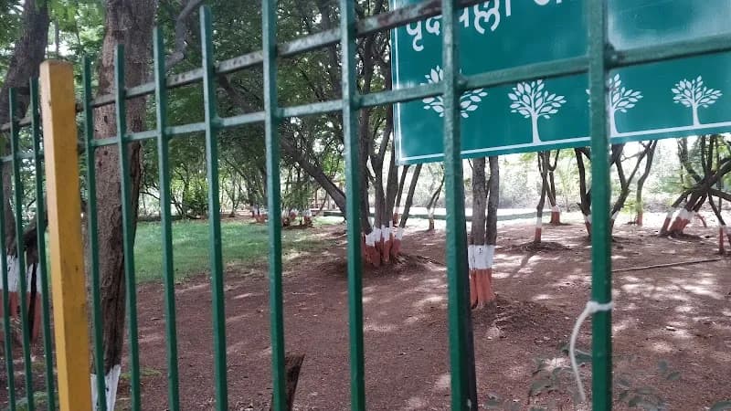 View of Vashi Sector 7 Garden in Vashi, MH