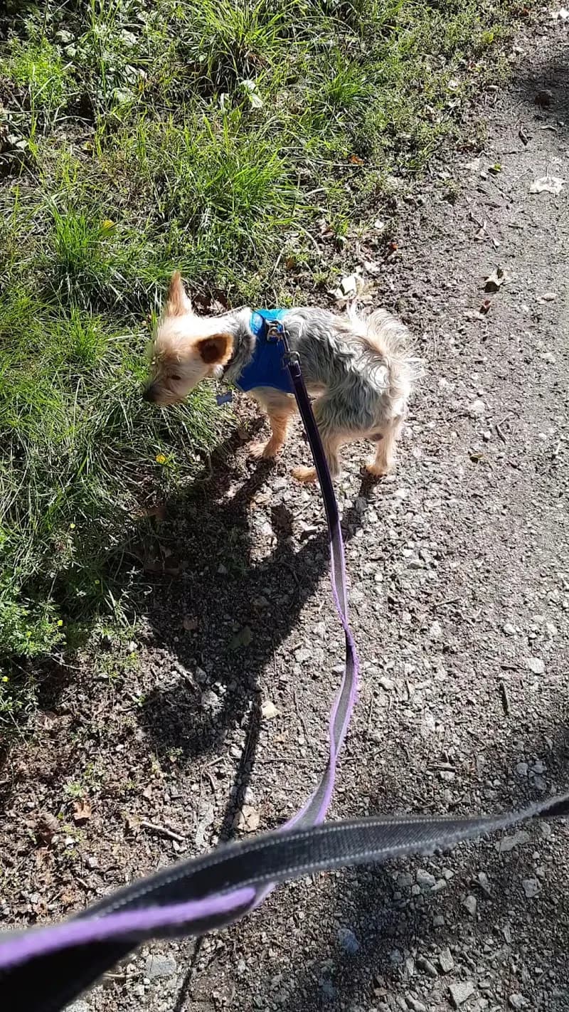 View of Äventyrsparken in Lidingö, Stockholm