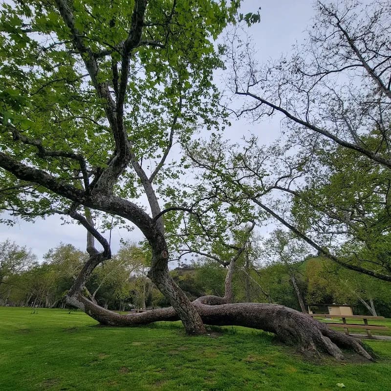 View of Verdugo Park in Glendale, CA