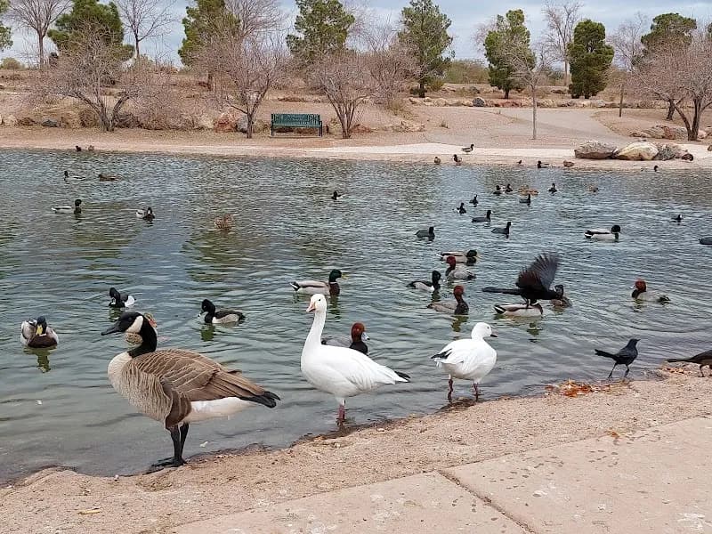 View of Veterans' Memorial Park in Boulder City, NV