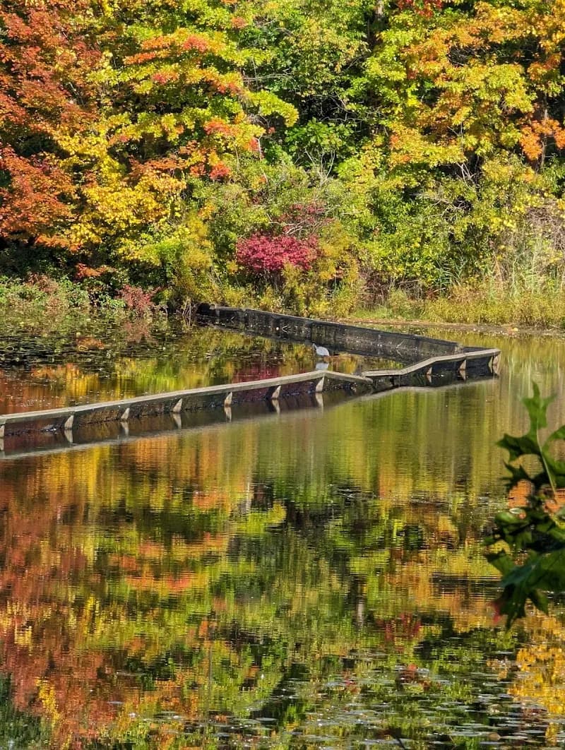 View of Veterans Park in Mentor, OH