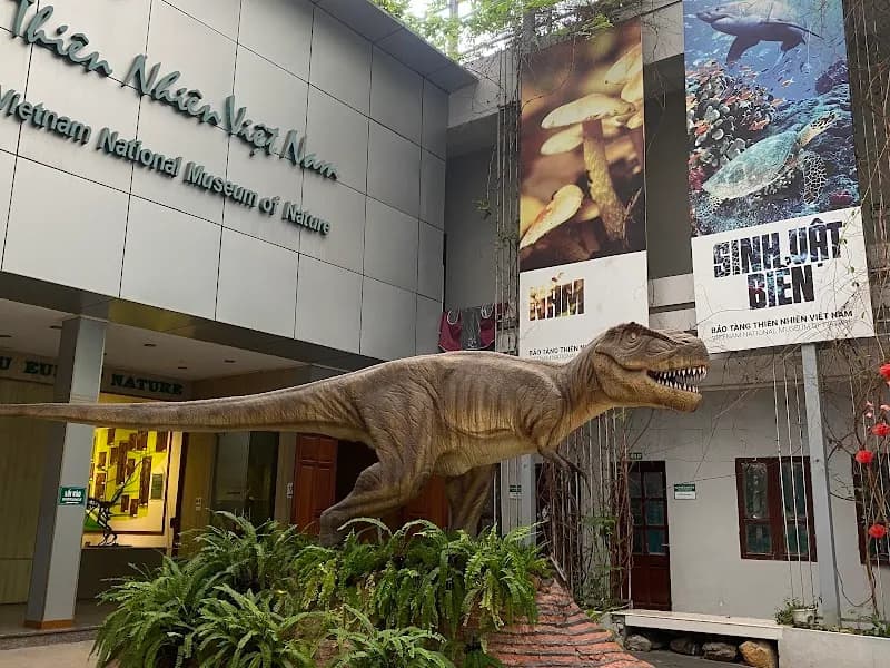 Vietnam National Museum of Nature museum in Hanoi, HN