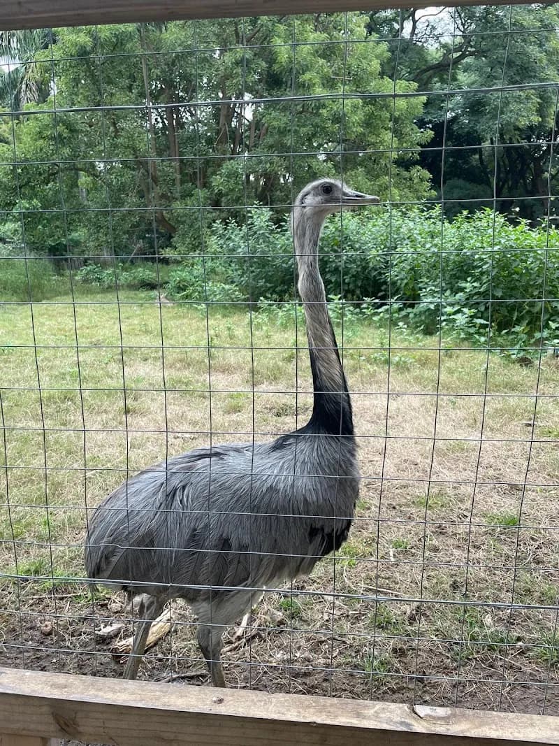 View of Villa Dolores Park in Montevideo, MO