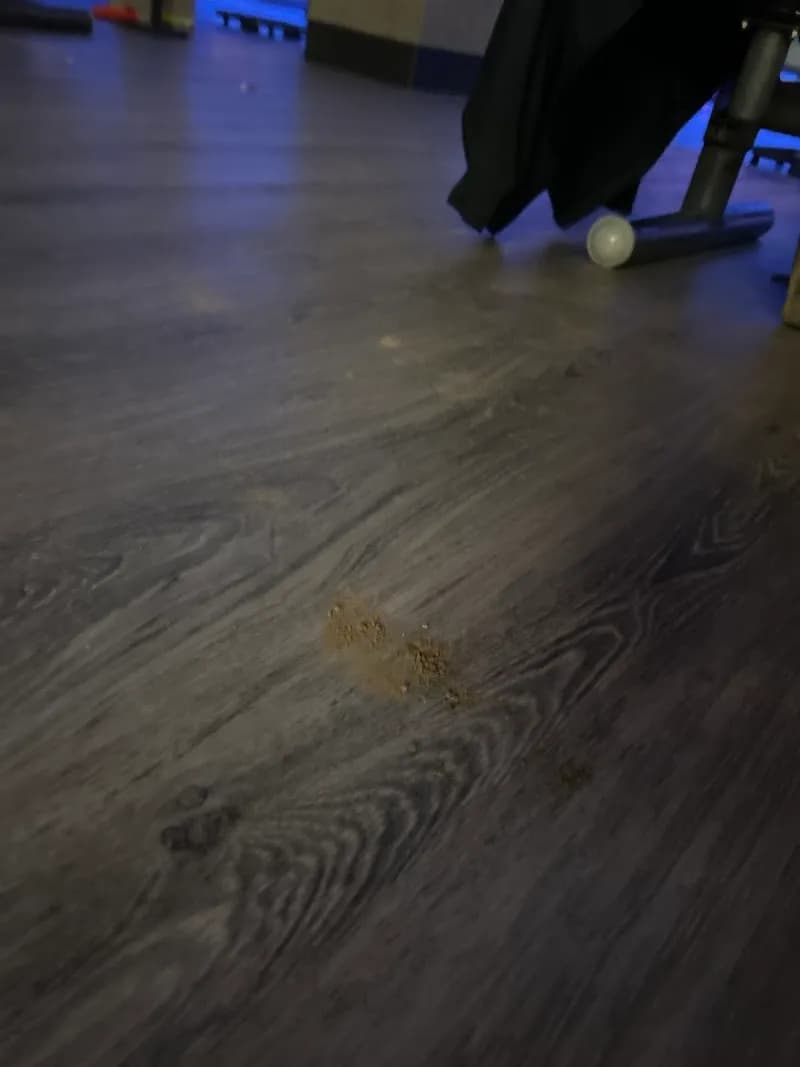 View of Virgin River Bowling Alley in Mesquite, NV