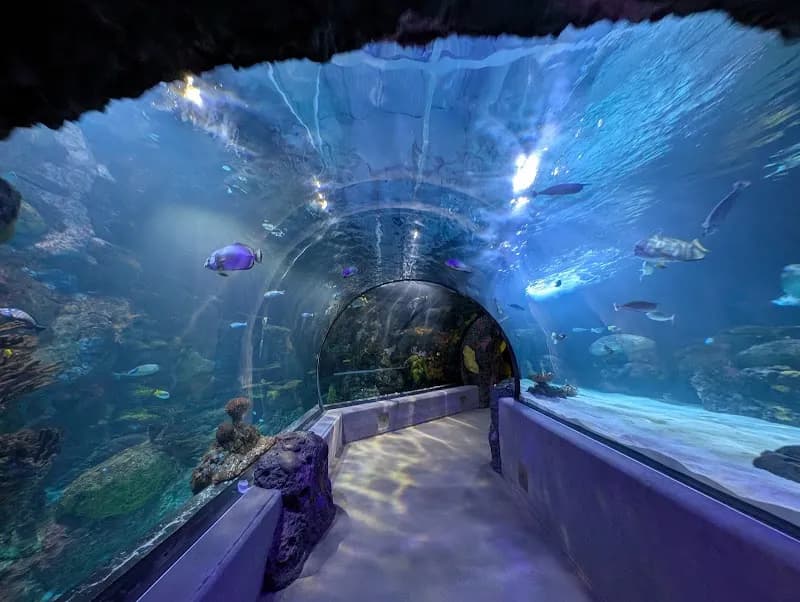 View of Virginia Aquarium & Marine Science Center in Chesapeake, VA