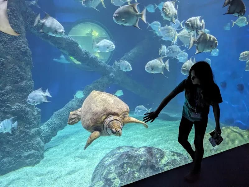 View of Virginia Aquarium & Marine Science Center in Chesapeake, VA