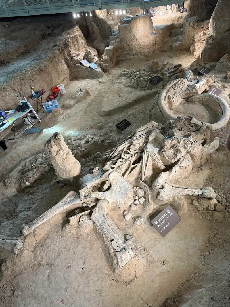 View of Waco Mammoth National Monument in Waco, TX