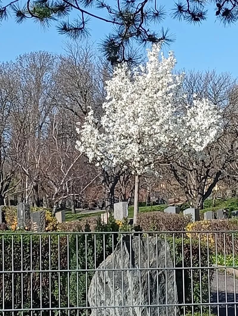 Waidhausenpark park in Penzing, VIE