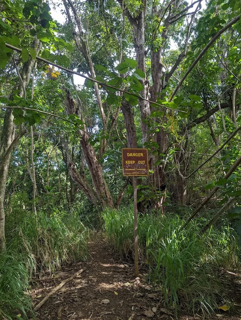 View of Wailua Falls in Kauai, HI