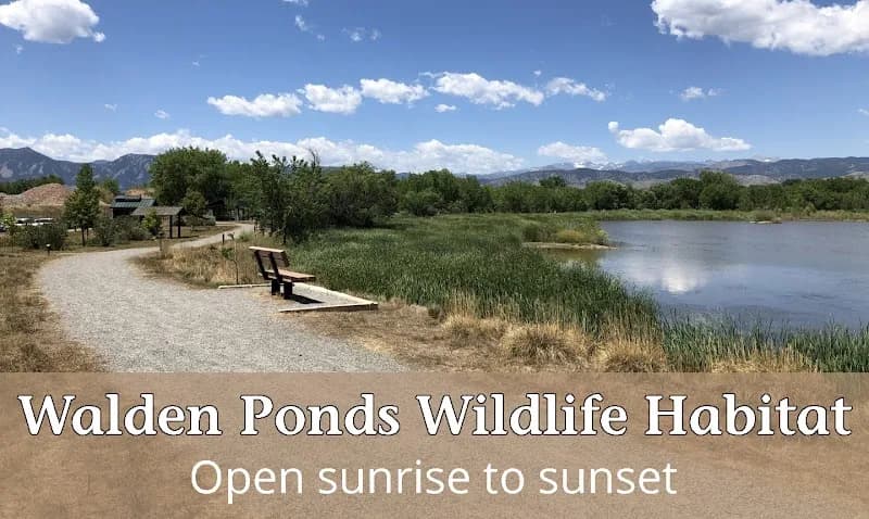 Walden Ponds Wildlife Habitat wildlife park in Boulder, CO