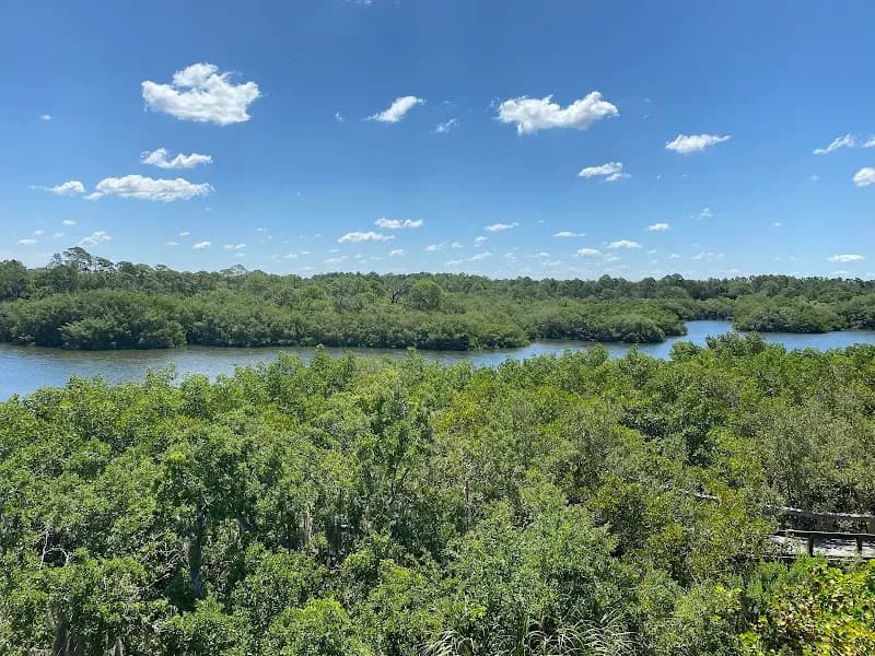 View of Wall Springs Park in Palm Harbor, FL