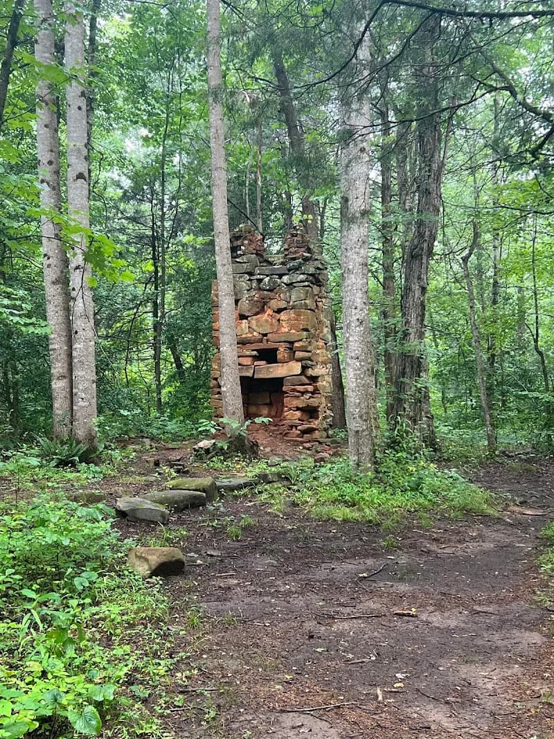 View of Walnut Creek Park in Charlottesville, VA