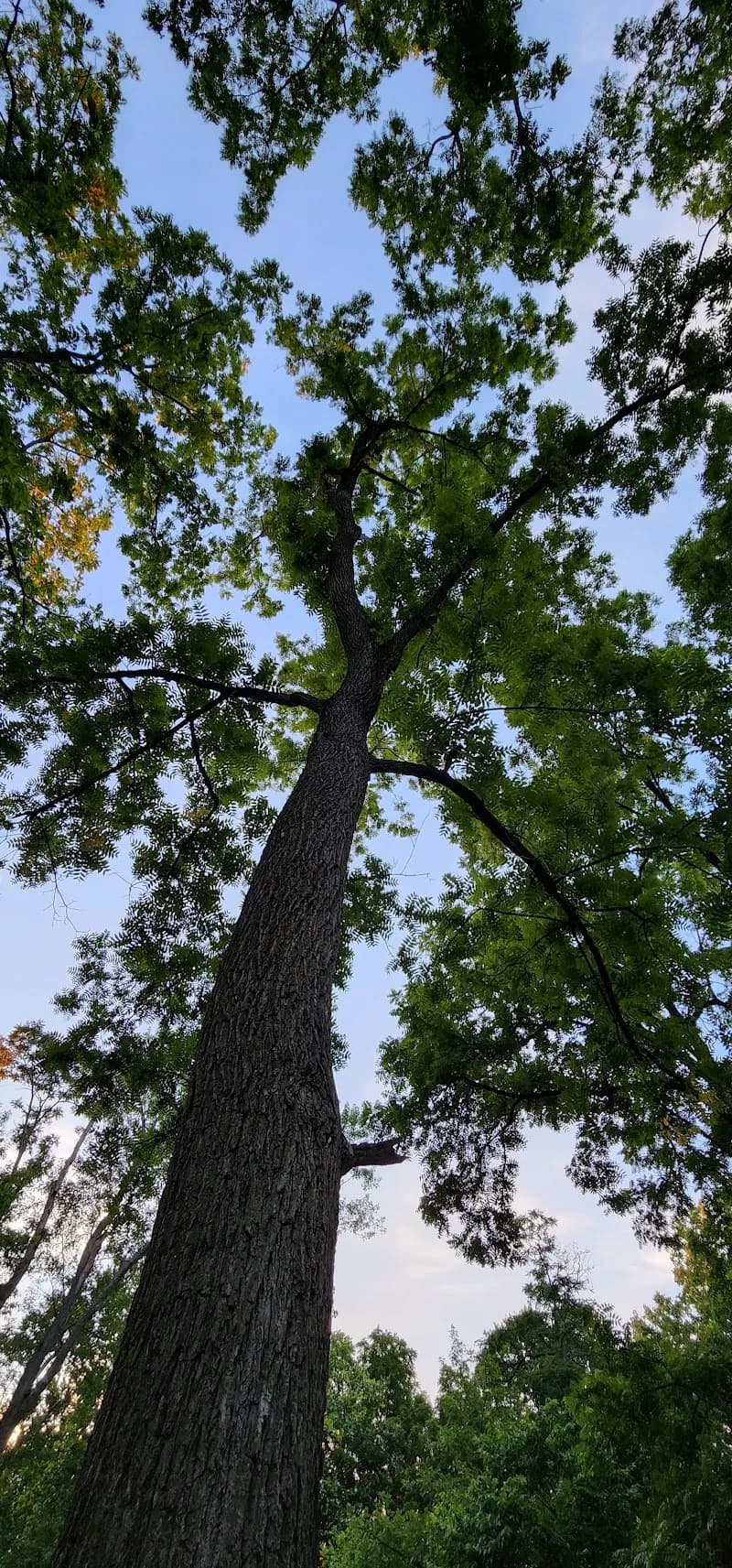 View of Walnut Creek Trail in Canal Winchester, OH