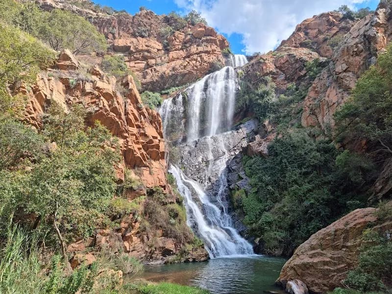 View of Walter Sisulu National Botanical Garden in Johannesburg, GP