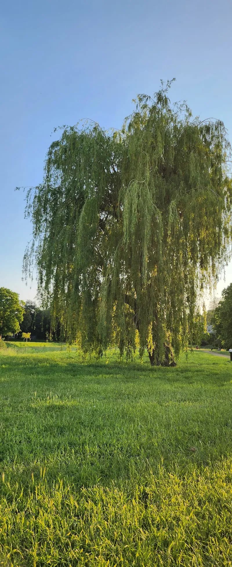 View of Wandle Park in Croydon, London
