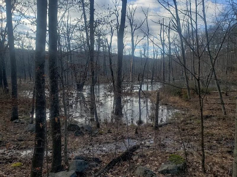 View of Ward Pound Ridge Reservation in Westchester, NY