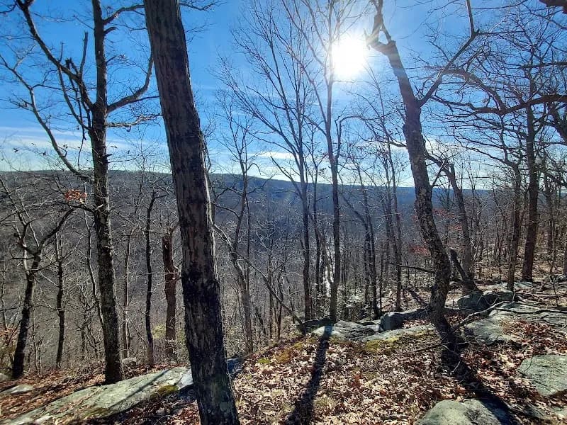View of Ward Pound Ridge Reservation in Westchester, NY