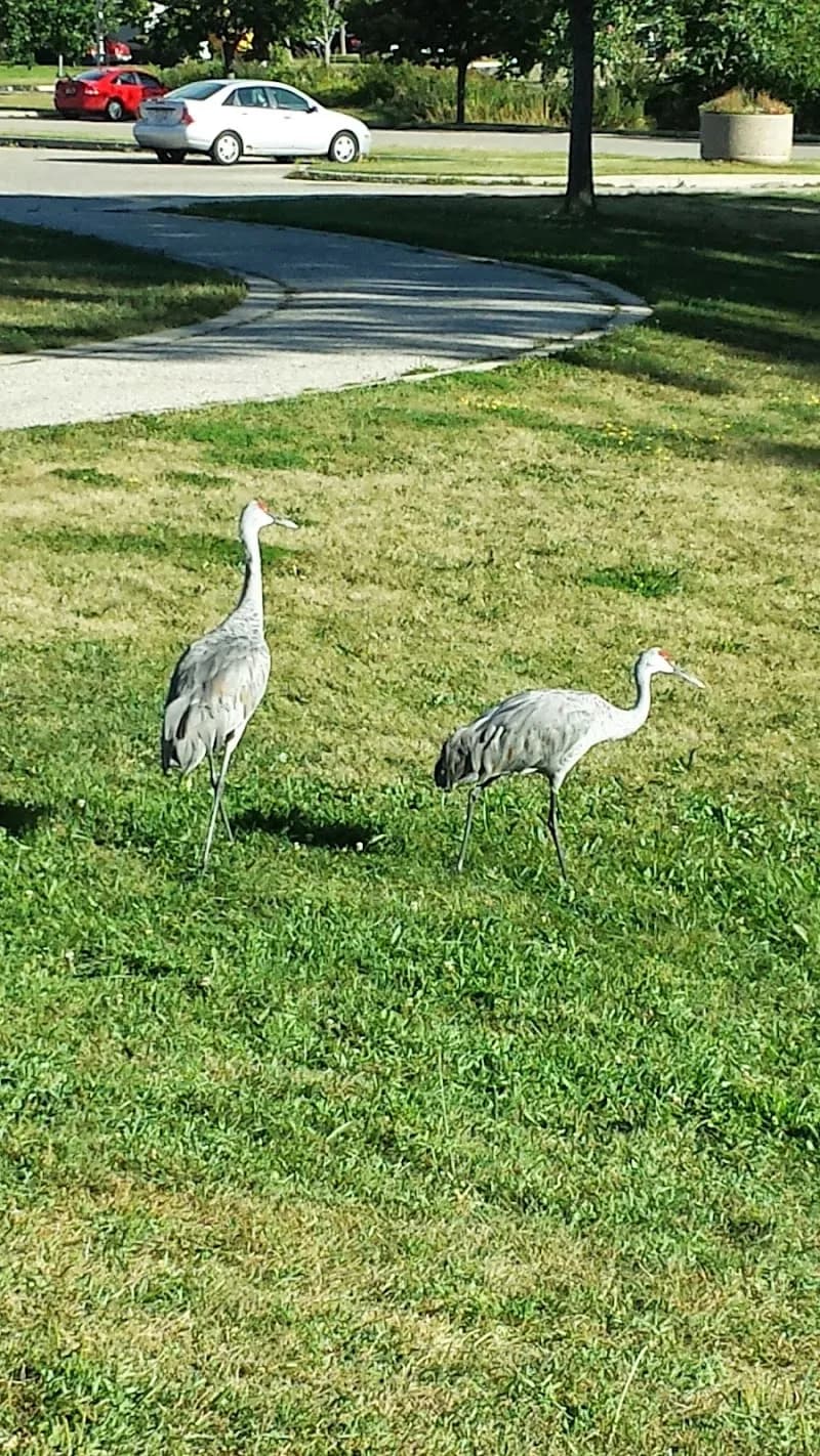 View of Warner Park Community Recreation Center in Madison, WI