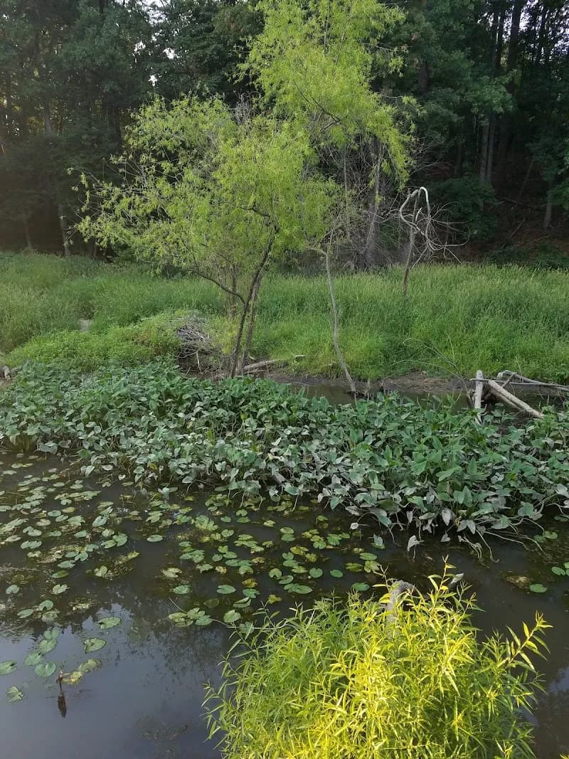 View of Washington and Old Dominion Railroad Trail in Herndon, VA