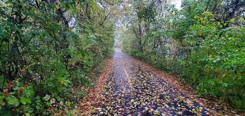View of Washington and Old Dominion Railroad Trail in Herndon, VA