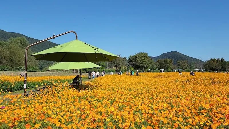 View of Water Garden in Namyangju, GG