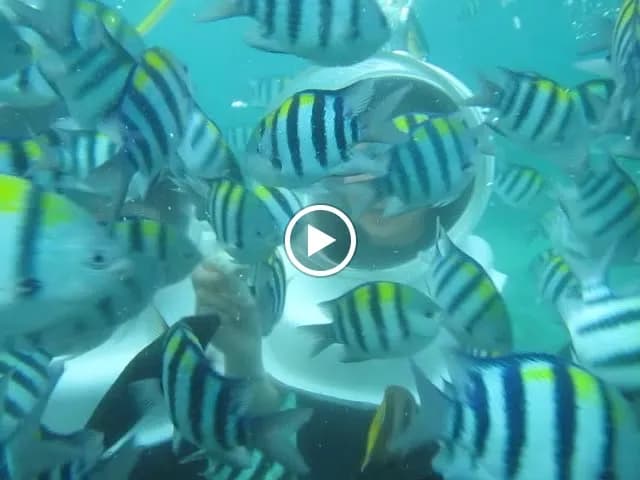 View of Water Sport by Wira Tour Bali (Office) in Klungkung, Bali