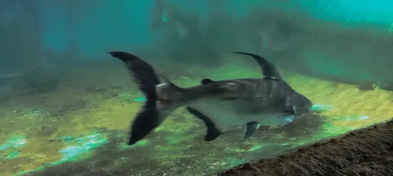 View of Water World Kelaniya in Kelaniya, WP