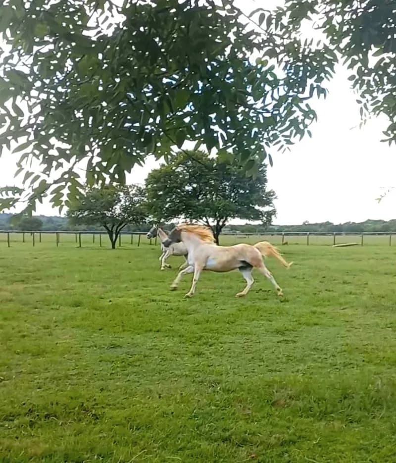 View of Waterlake Farm Estate in Centurion, GP