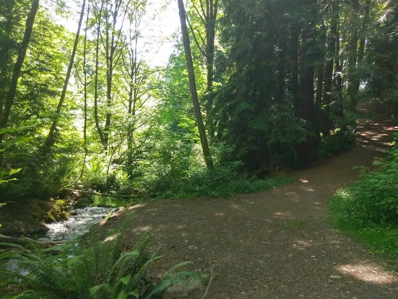 View of Watershed Park in Kirkland, WA