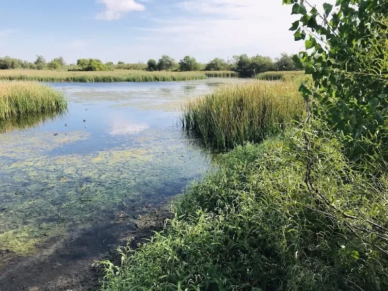 View of Watersong Wild Space in Midland, TX